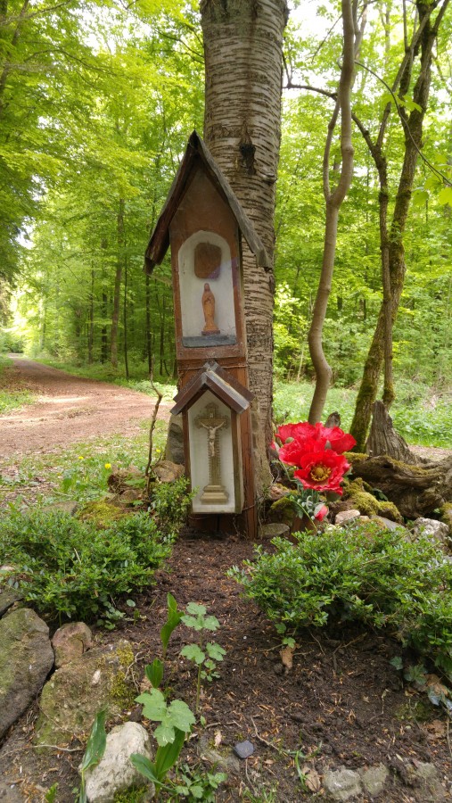 Foto 1