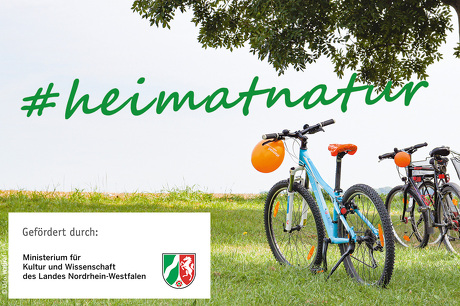 #heimatnatur 2: Siebengebirge und Rhein – Gestaltung einer Landschaft