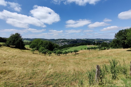 Sommerliches Pilgern Overath - Marialinden - Overath